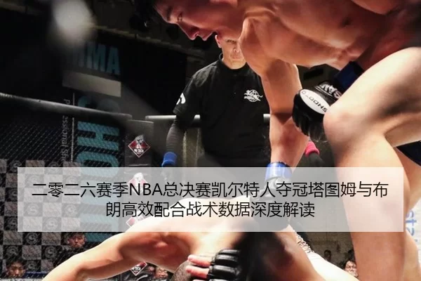 二零二六赛季NBA总决赛凯尔特人夺冠塔图姆与布朗高效配合战术数据深度解读