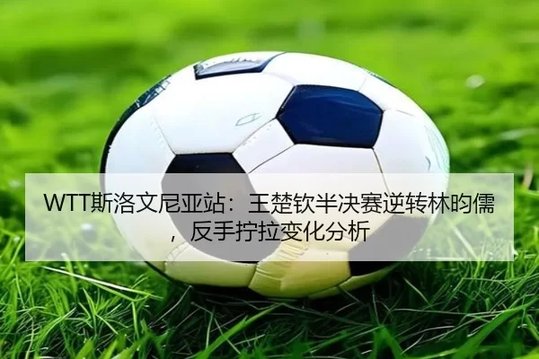 WTT斯洛文尼亚站：王楚钦半决赛逆转林昀儒，反手拧拉变化分析