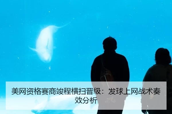 美网资格赛商竣程横扫晋级：发球上网战术奏效分析